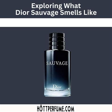 dior sauvage release|dior sauvage smells like.